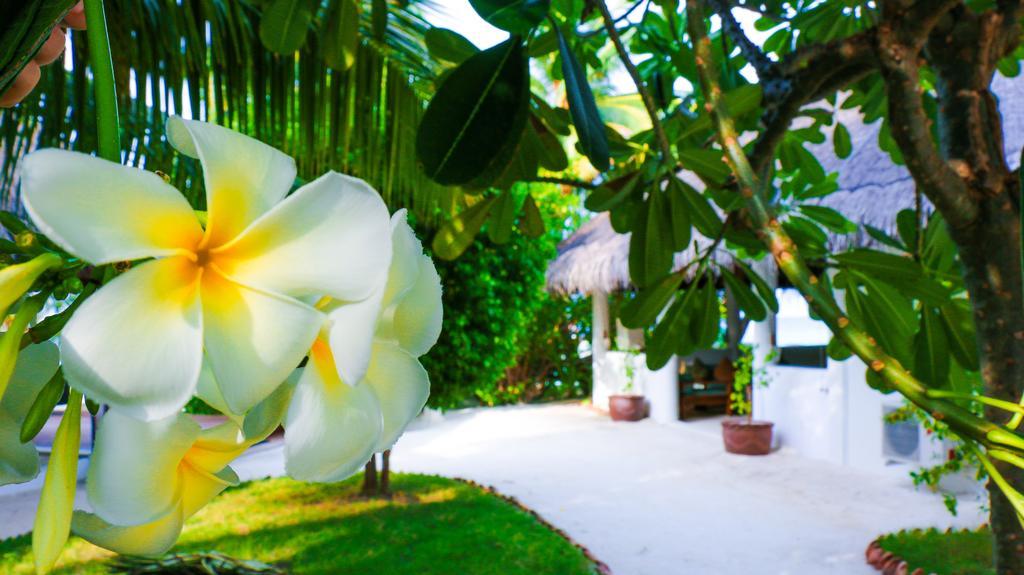 Vakarufalhi Maldives Dhangethi Exteriör bild