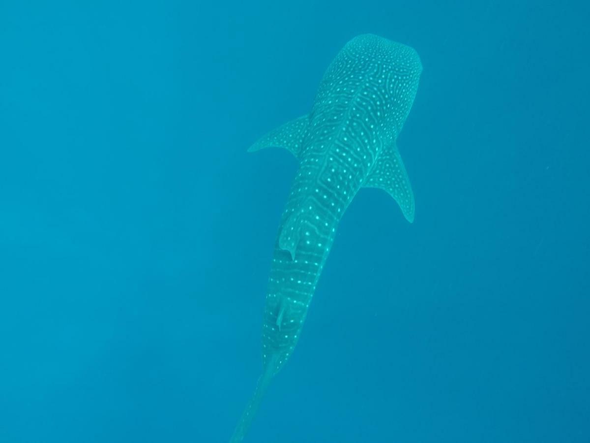 Vakarufalhi Maldives Dhangethi Exteriör bild