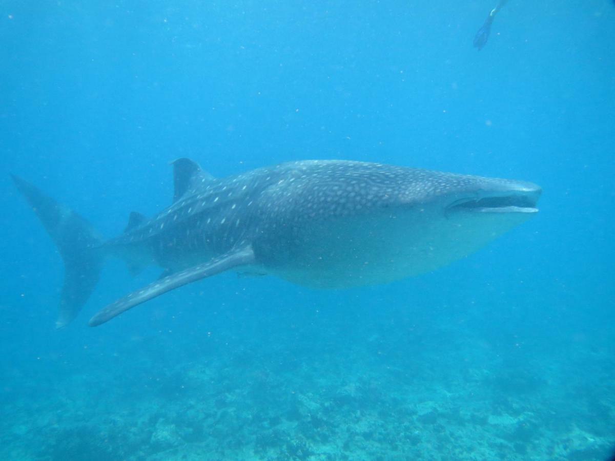Vakarufalhi Maldives Dhangethi Exteriör bild