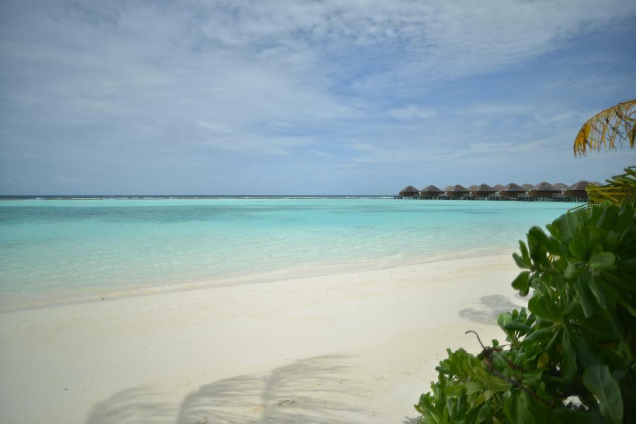Vakarufalhi Maldives Dhangethi Exteriör bild